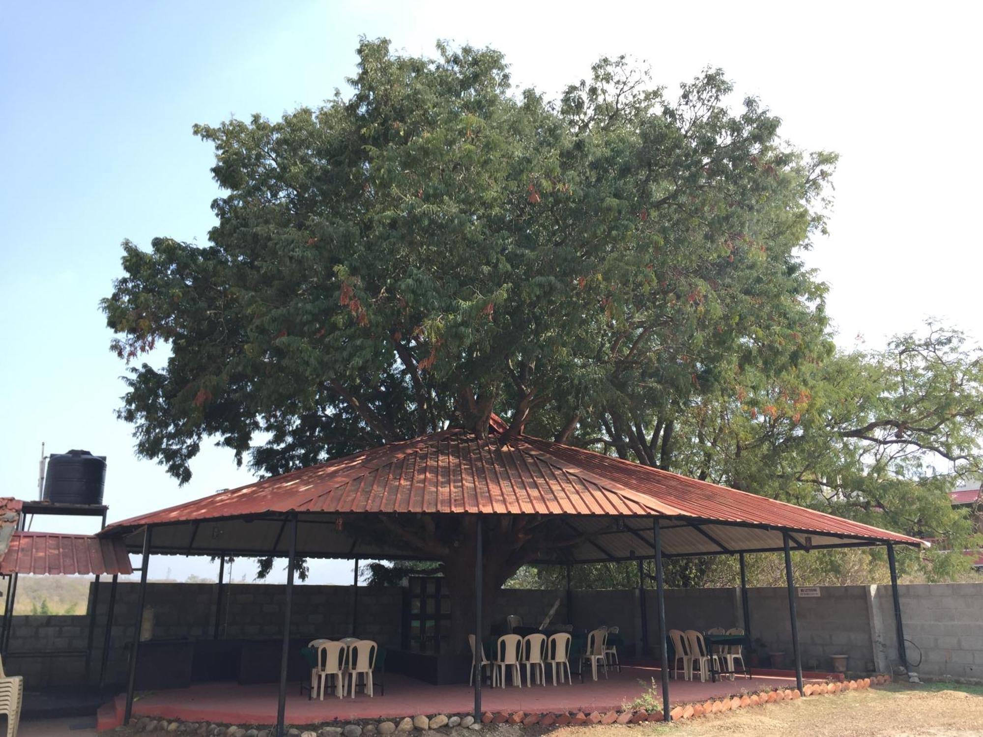 Tamarind Tree Masinagudi Hotel Buitenkant foto